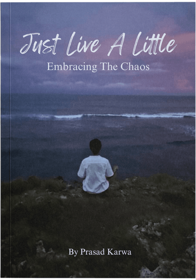 Just Live A Little book cover